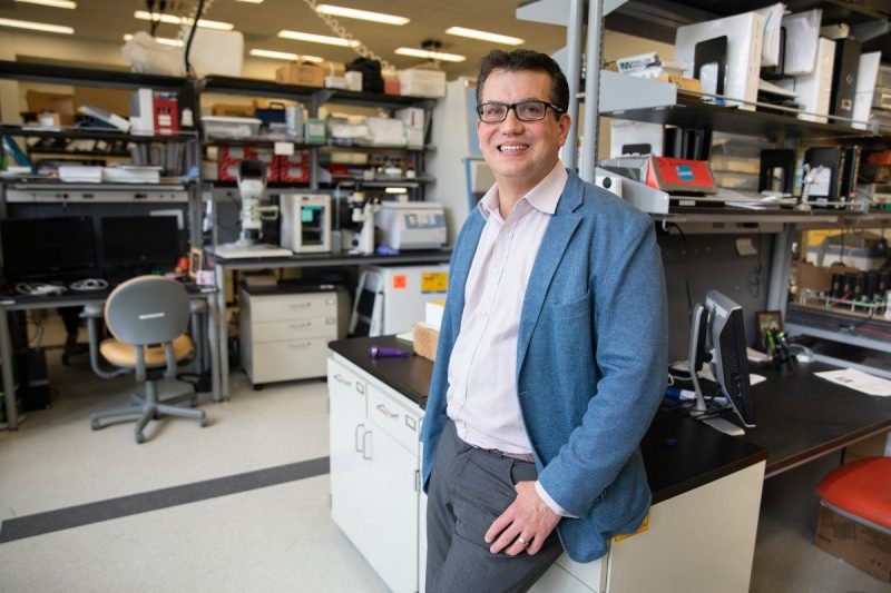 Rafael Davalos named American Institute for Medical and Biological Engineering Fellow