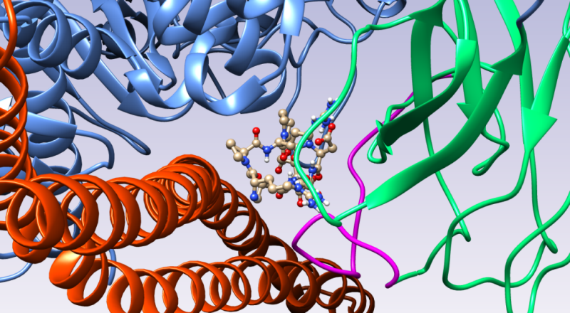 VTCDD members Zhi Sheng and Robert Gourdie publish new research in Oncogenesis