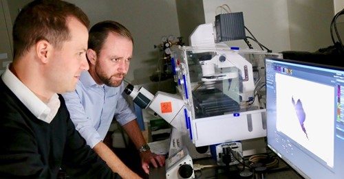 VTCDD Members Daniel Slade and Scott Verbridge discover that mouth bacterium may cause colon cancer to spread